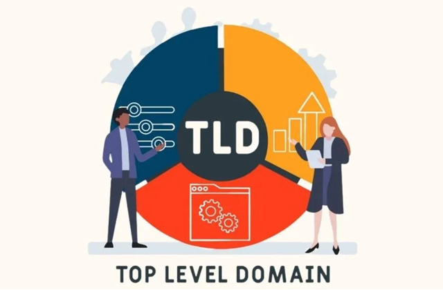 تشریح دامنه سطح بالا (TLD)